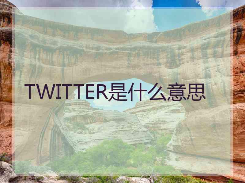 TWITTER是什么意思