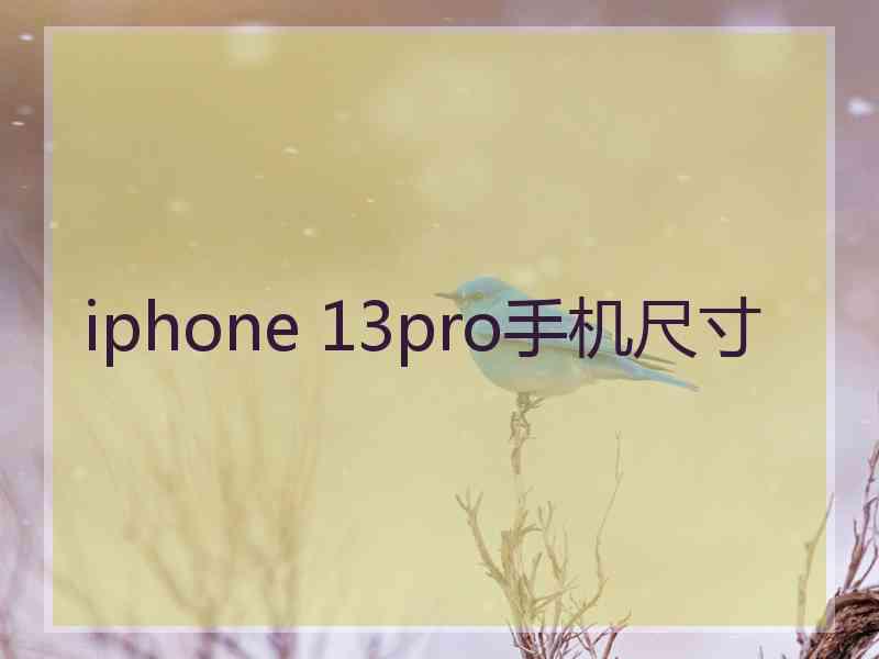 iphone 13pro手机尺寸