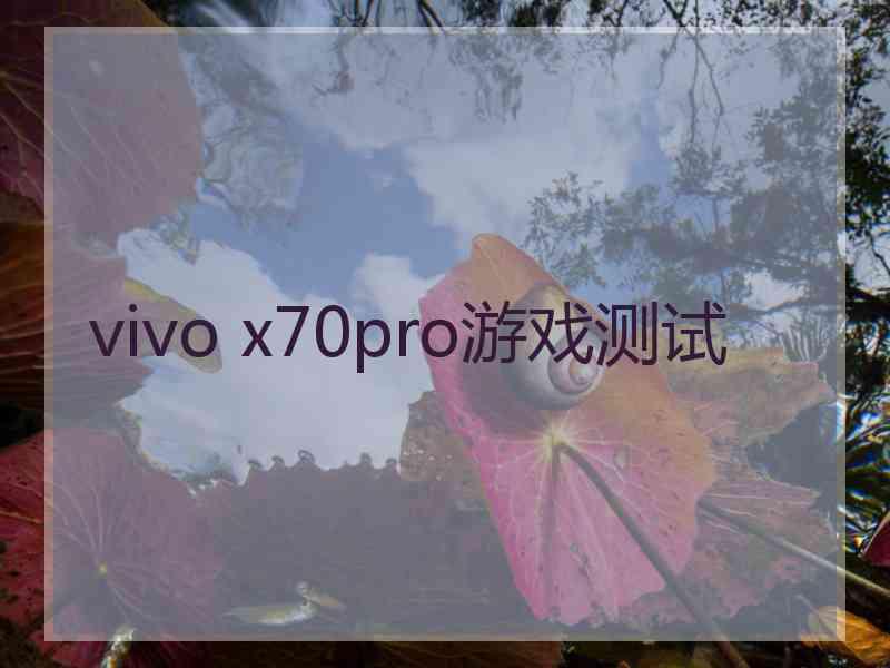 vivo x70pro游戏测试