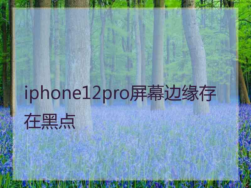 iphone12pro屏幕边缘存在黑点