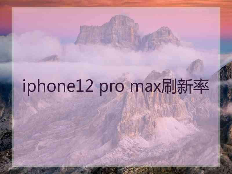 iphone12 pro max刷新率