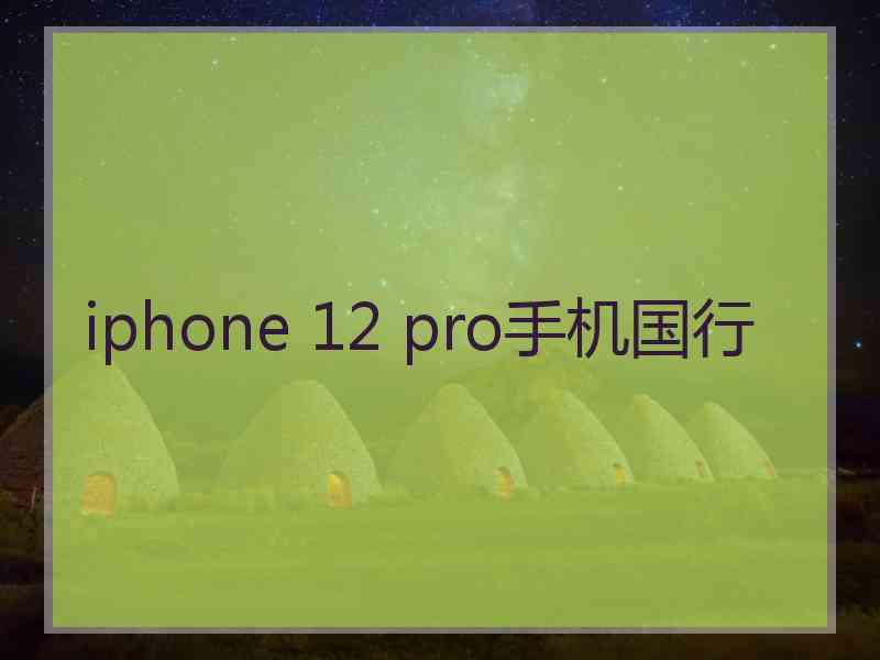 iphone 12 pro手机国行