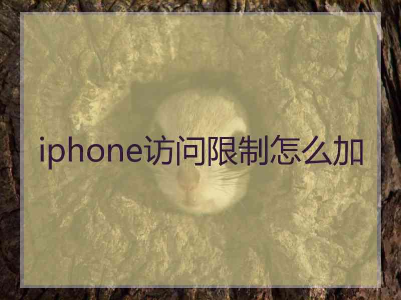 iphone访问限制怎么加