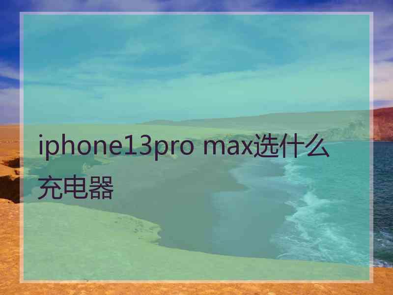 iphone13pro max选什么充电器