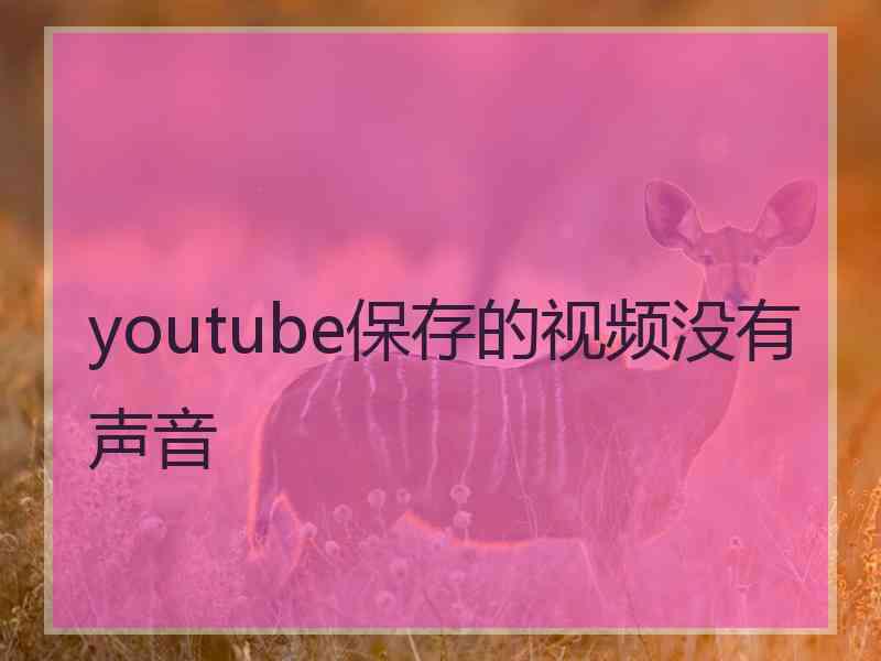 youtube保存的视频没有声音