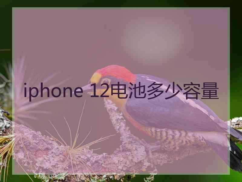 iphone 12电池多少容量