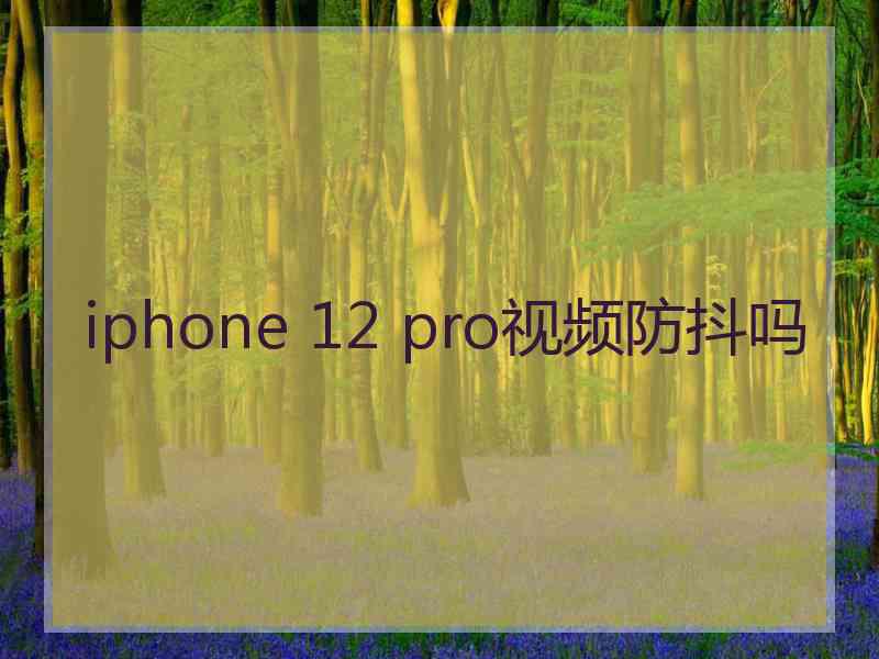 iphone 12 pro视频防抖吗