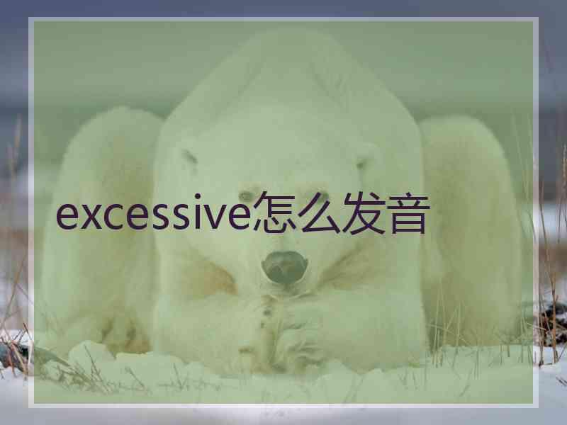 excessive怎么发音