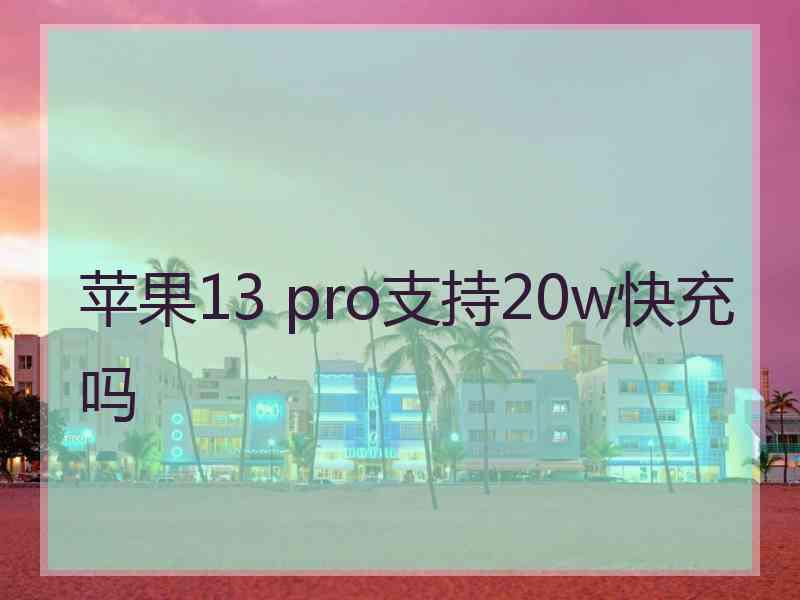 苹果13 pro支持20w快充吗