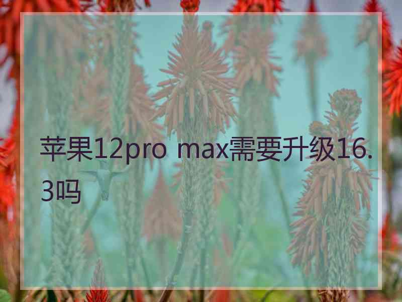 苹果12pro max需要升级16.3吗