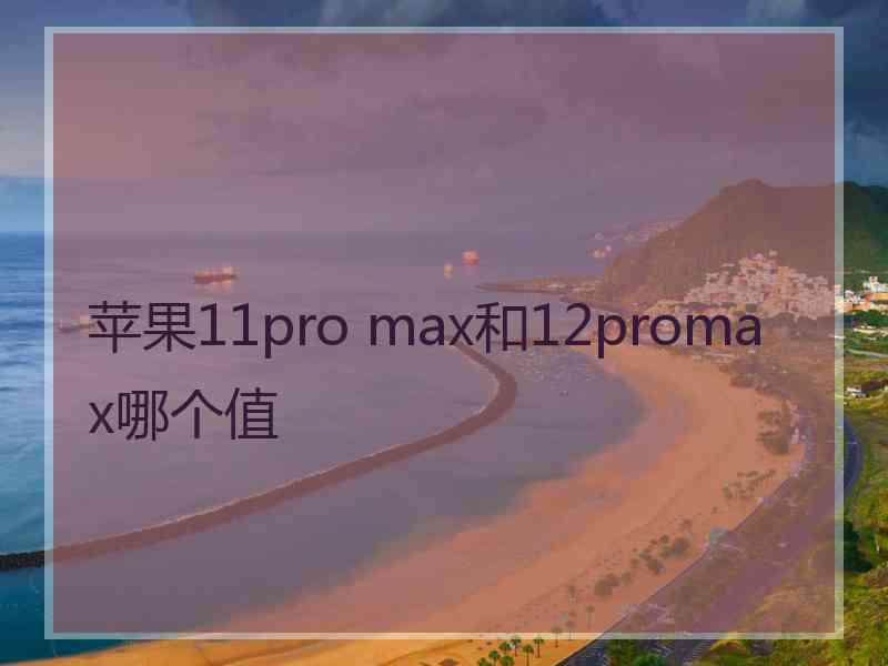 苹果11pro max和12promax哪个值