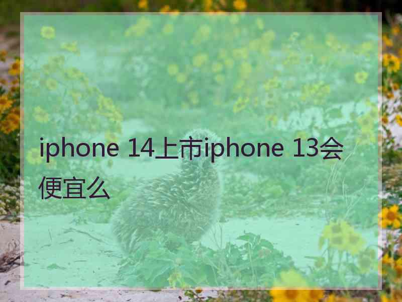 iphone 14上市iphone 13会便宜么