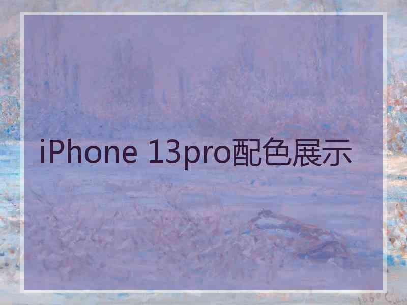 iPhone 13pro配色展示