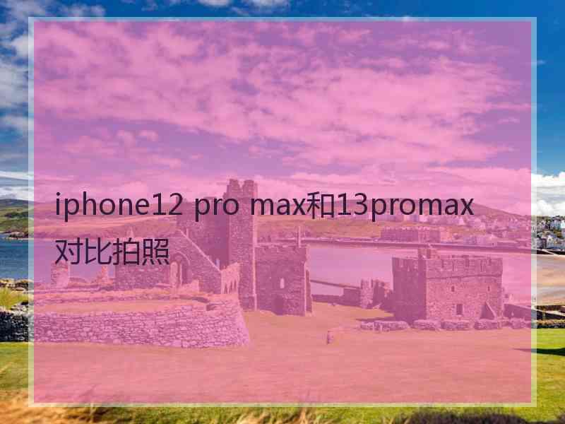 iphone12 pro max和13promax对比拍照