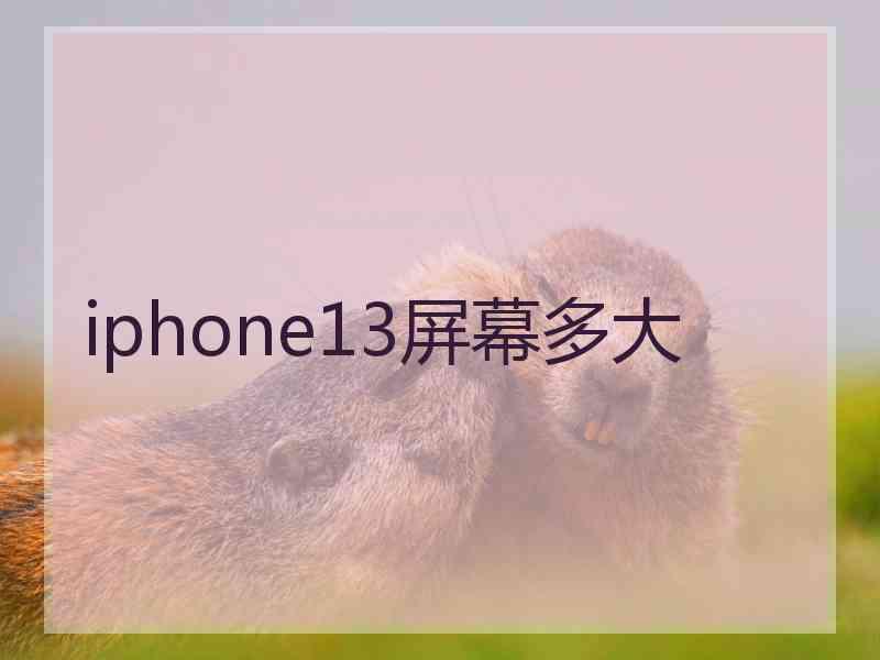 iphone13屏幕多大