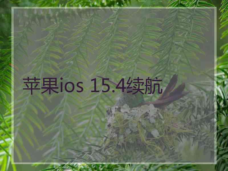 苹果ios 15.4续航