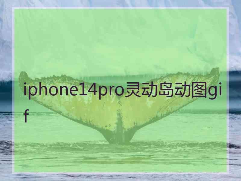 iphone14pro灵动岛动图gif