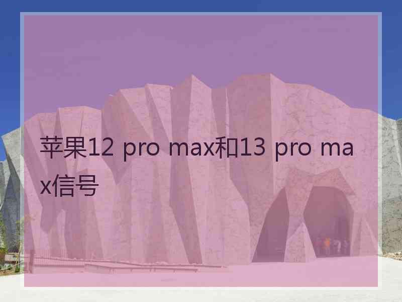 苹果12 pro max和13 pro max信号