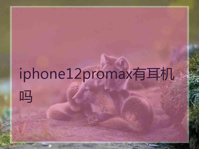 iphone12promax有耳机吗