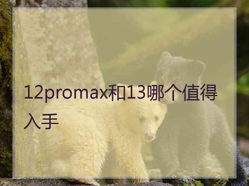 12promax和13哪个值得入手