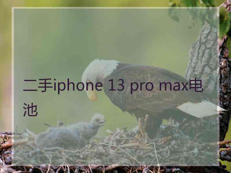 二手iphone 13 pro max电池