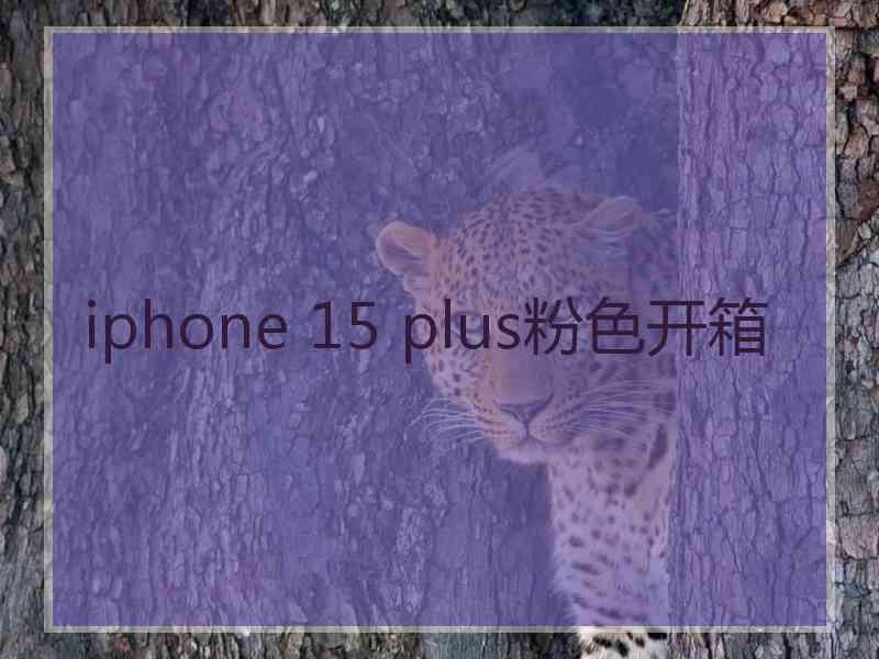 iphone 15 plus粉色开箱