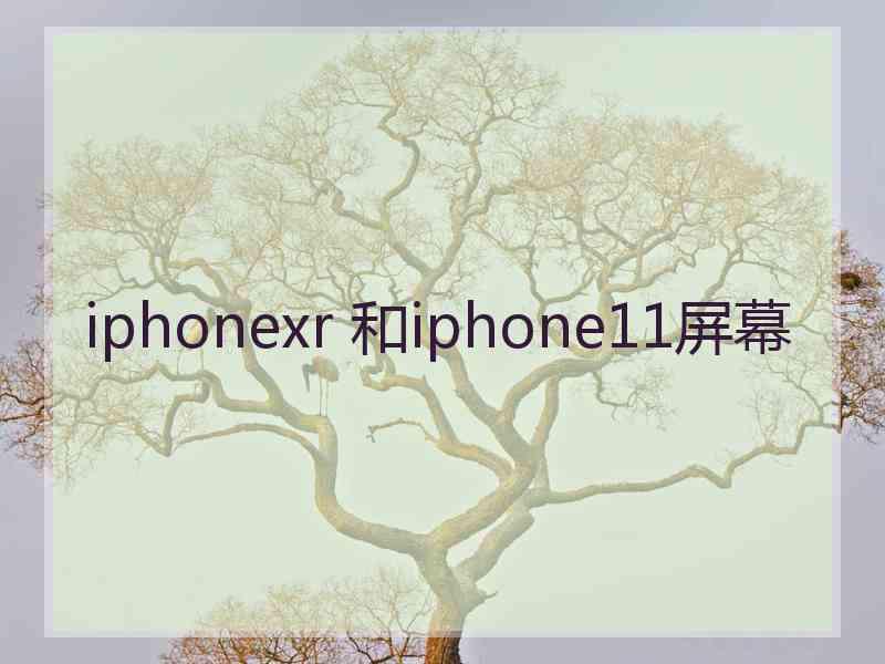 iphonexr 和iphone11屏幕