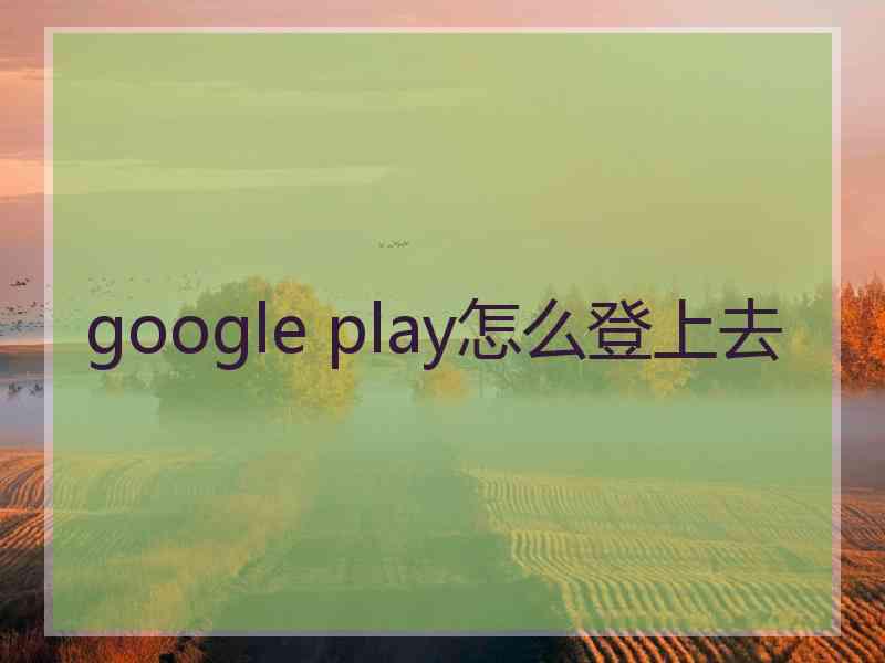 google play怎么登上去