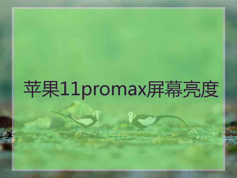 苹果11promax屏幕亮度