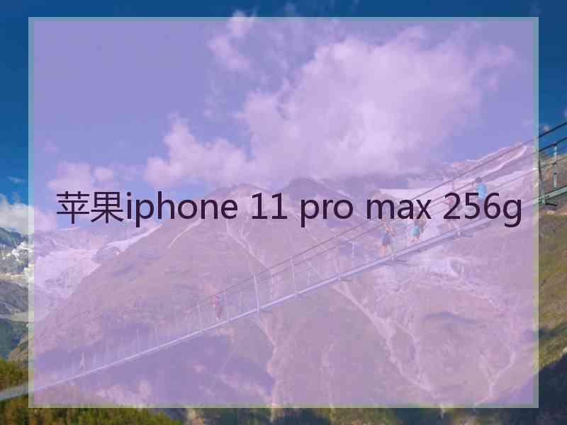 苹果iphone 11 pro max 256g