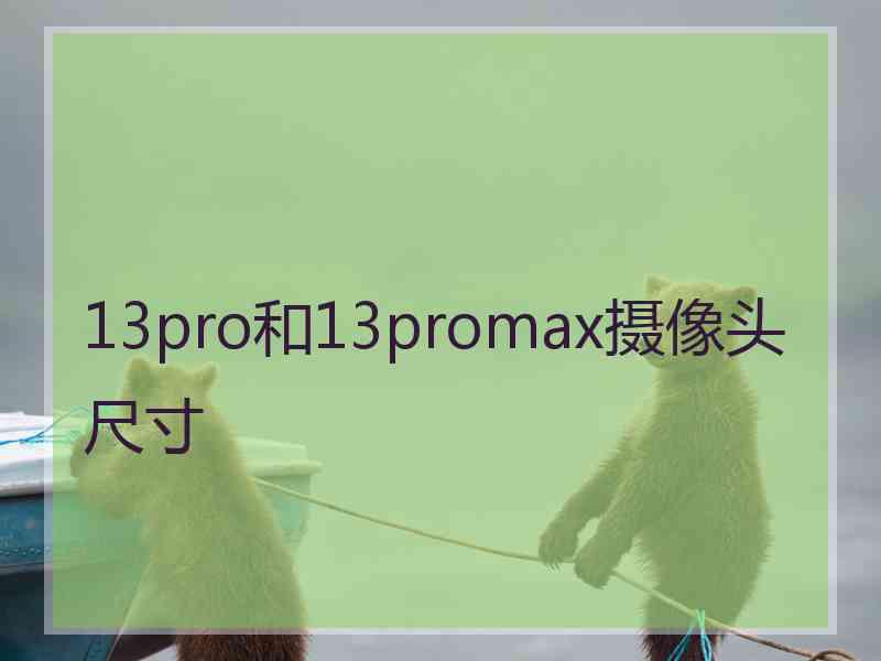 13pro和13promax摄像头尺寸