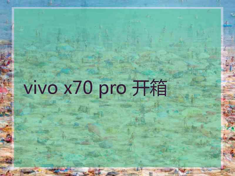 vivo x70 pro 开箱