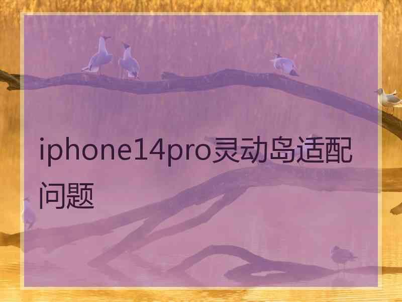 iphone14pro灵动岛适配问题