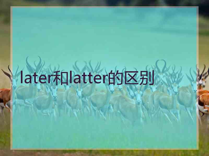 later和latter的区别