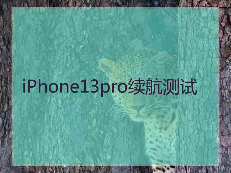 iPhone13pro续航测试