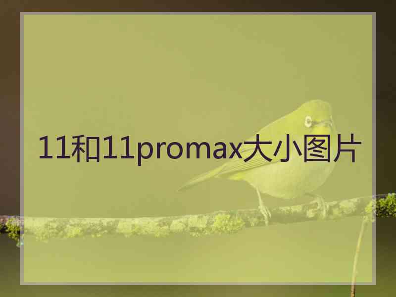 11和11promax大小图片