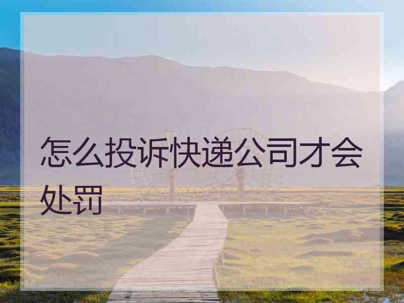 怎么投诉快递公司才会处罚