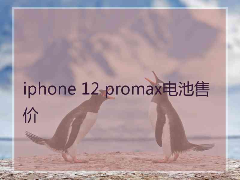 iphone 12 promax电池售价