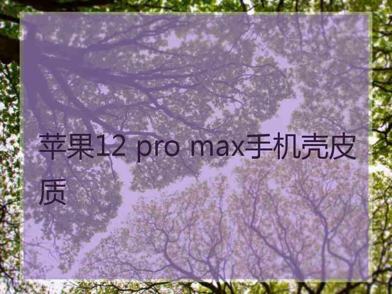 苹果12 pro max手机壳皮质