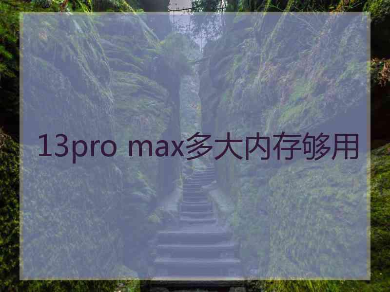 13pro max多大内存够用