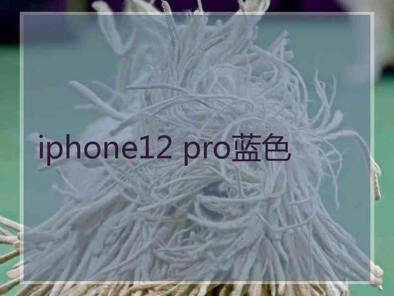 iphone12 pro蓝色