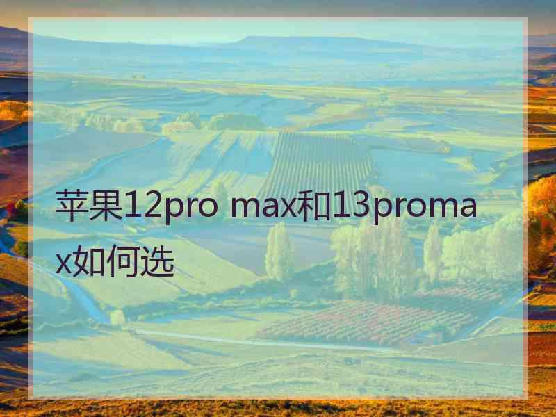 苹果12pro max和13promax如何选