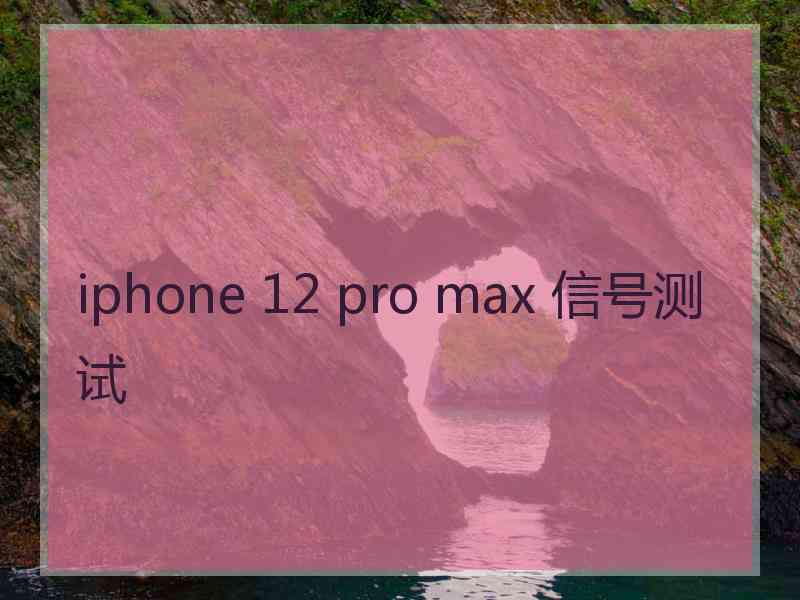 iphone 12 pro max 信号测试