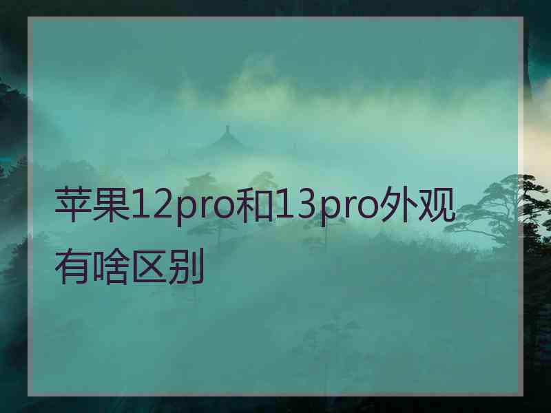 苹果12pro和13pro外观有啥区别