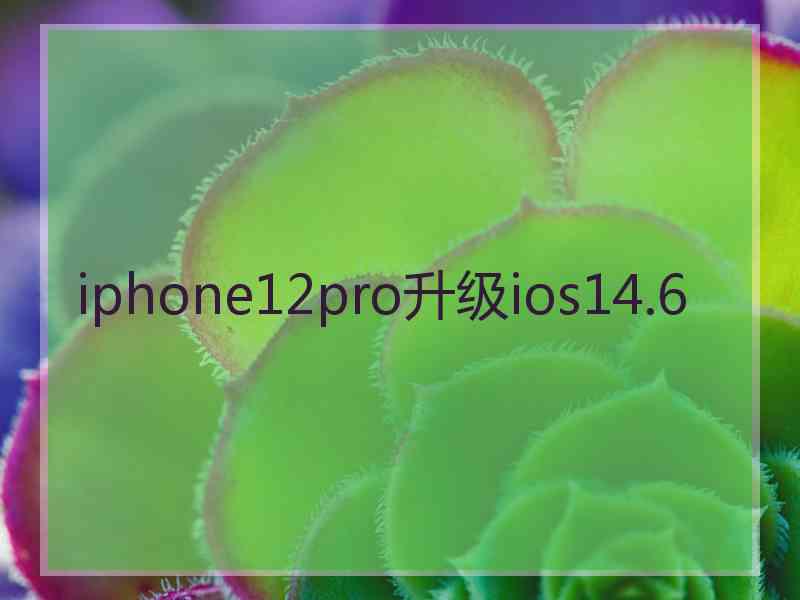 iphone12pro升级ios14.6