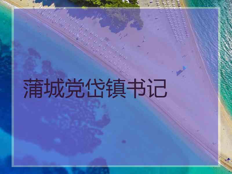 蒲城党岱镇书记