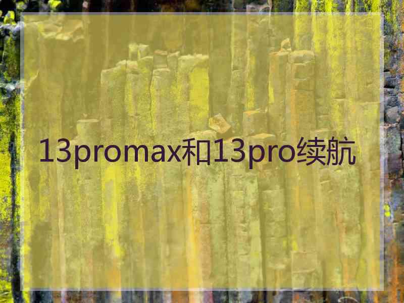 13promax和13pro续航