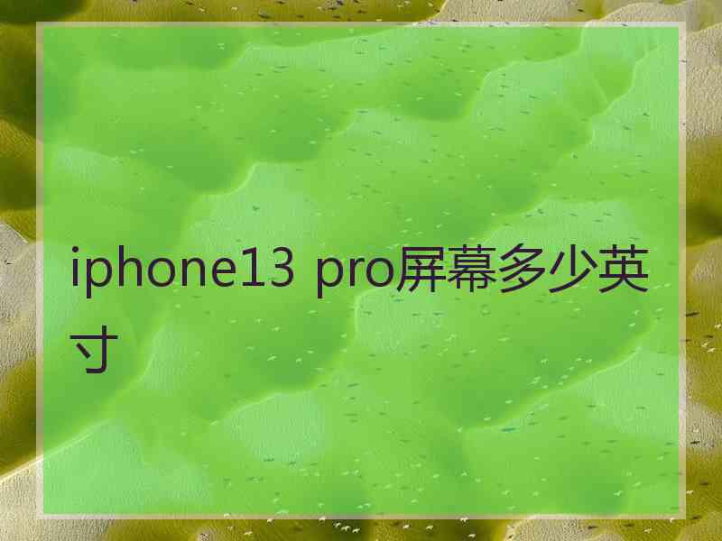 iphone13 pro屏幕多少英寸