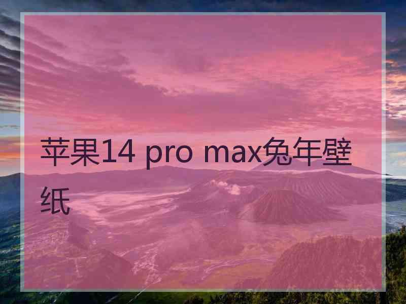 苹果14 pro max兔年壁纸