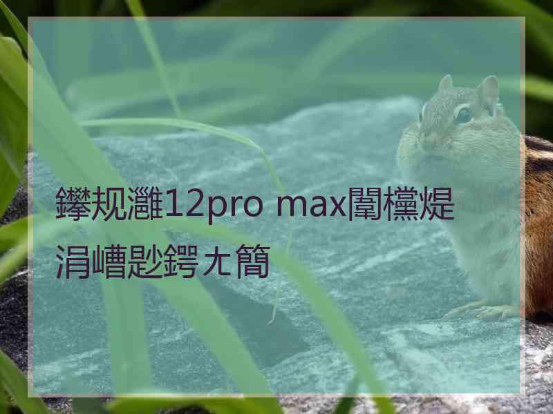 鑻规灉12pro max闈欓煶涓嶆尟鍔ㄤ簡